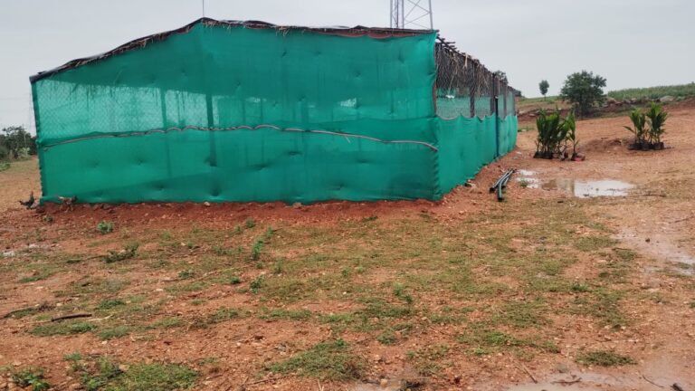 no Encouragement for poultry industry