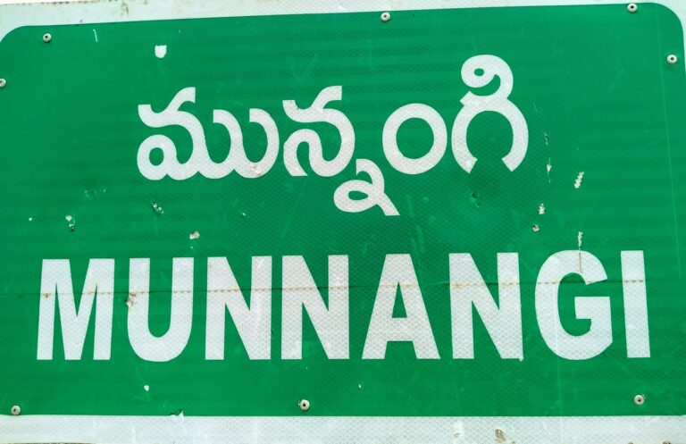 munnangi