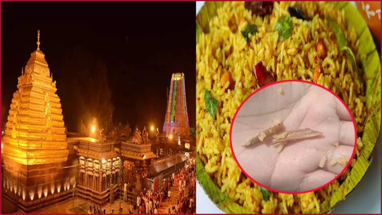 meat-bone-found-in-pulihora-prasadam