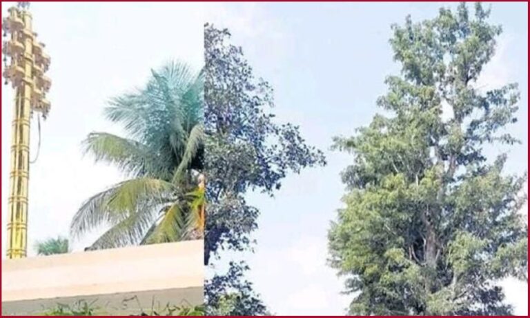 dwajastambha- tree