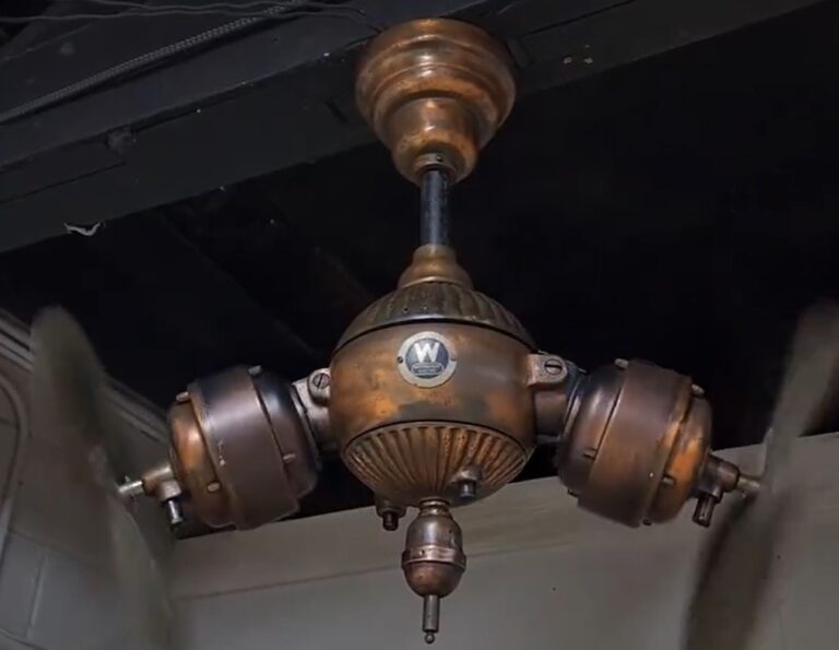 fan
