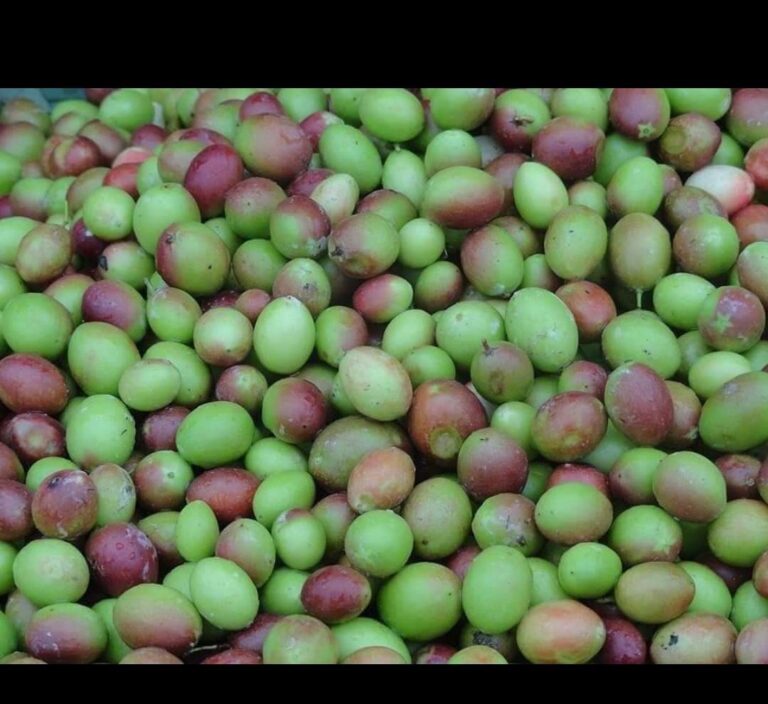 vakka