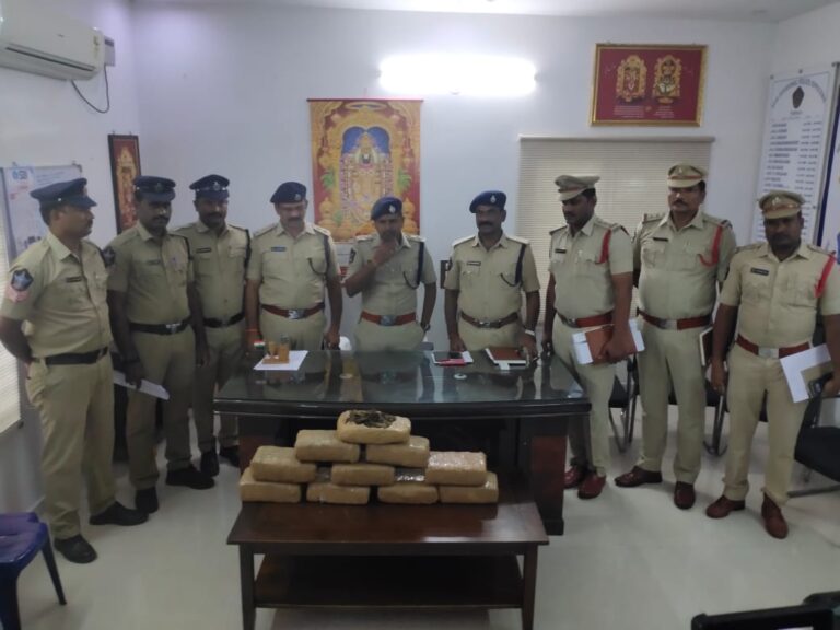 WhatsApp Image 2024-08-08 at 15.56.20