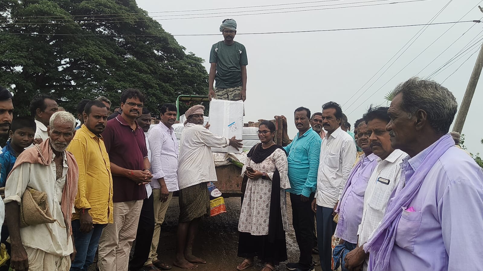 Feeding the cattle with the orders of the MLA