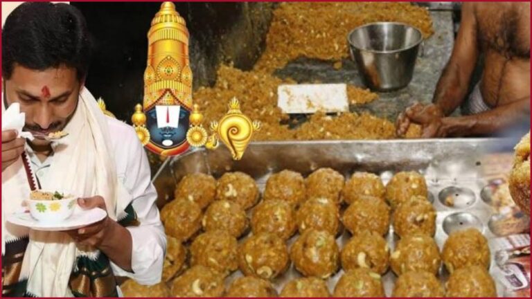 ttd laddu