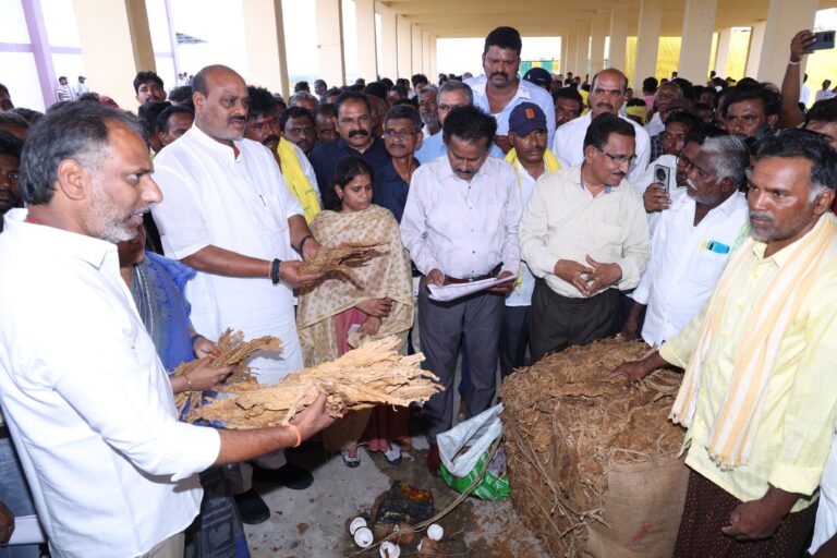 WhatsApp Image 2025-07-16 at 19.34.18