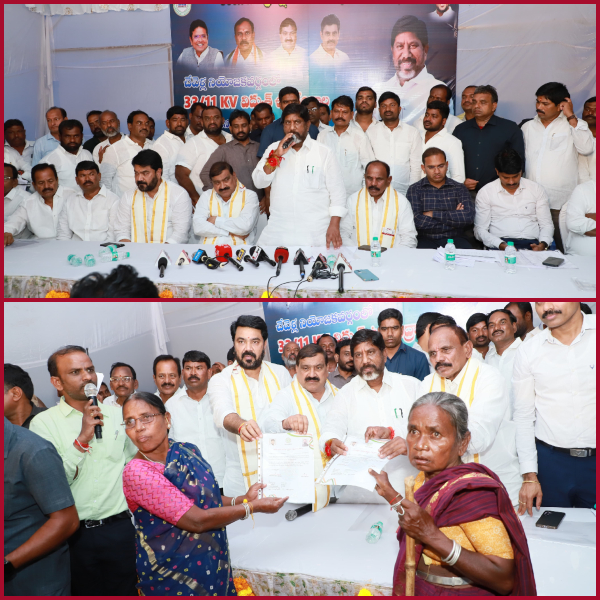 Cooperate with the welfare government