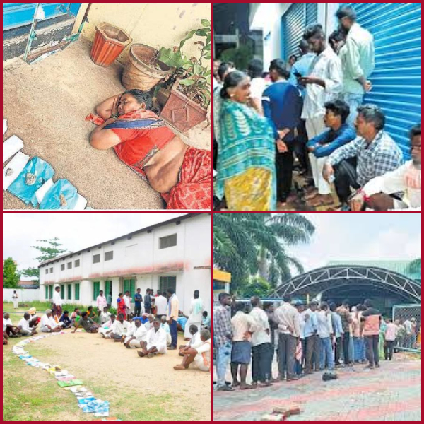 Is it fertilizer_ Is it a good idea to do it_