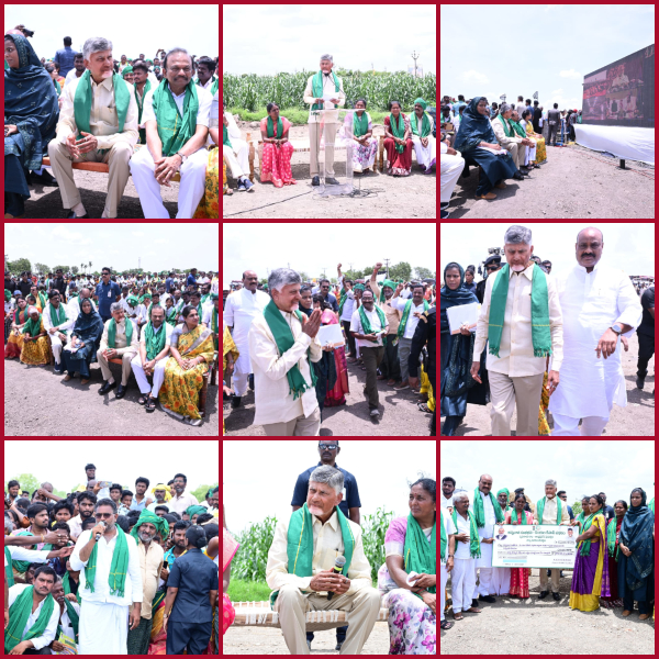 Super Six - Super Success