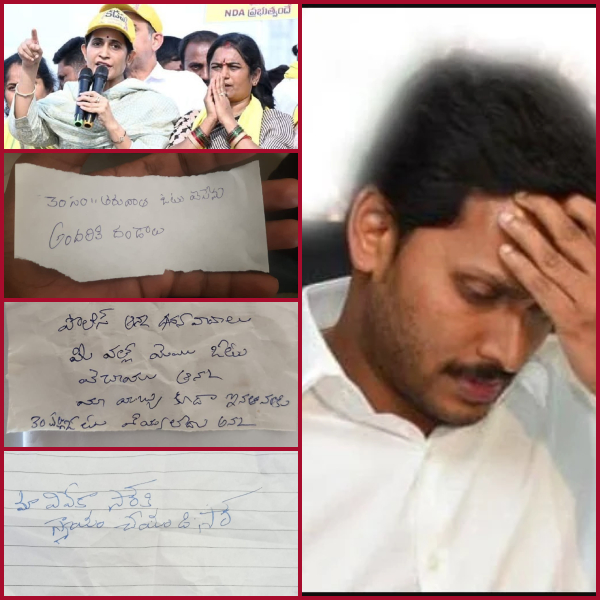 The pride of the tiger's hair has been lost!