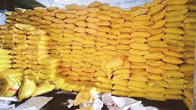 WhatsApp Image 2025-09-03 at 01.07.44