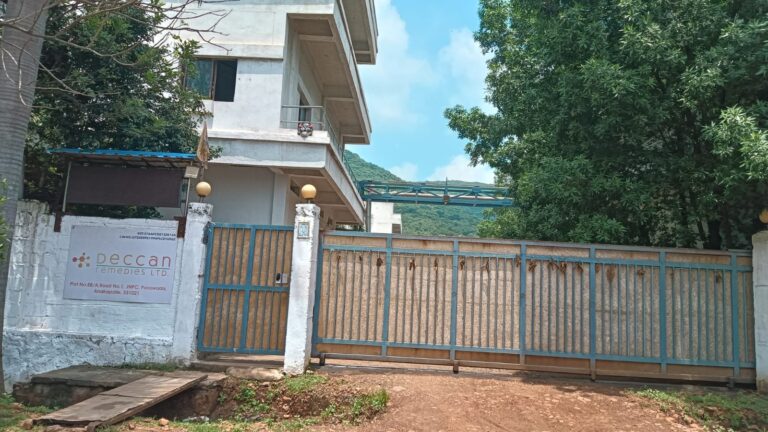 WhatsApp Image 2025-09-08 at 16.34.47