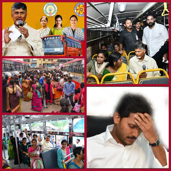 YCP's campaign on 'Bus' is over!