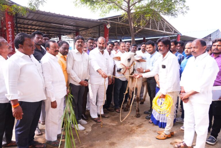 WhatsApp Image 2025-10-17 at 16.27.33