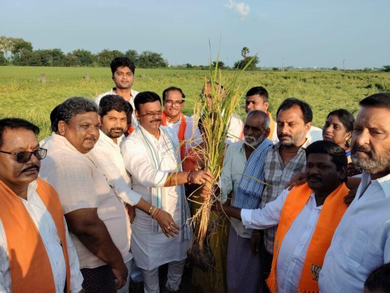 WhatsApp Image 2025-10-31 at 23.13.37