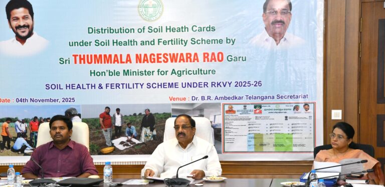 WhatsApp Image 2025-11-04 at 21.31.43