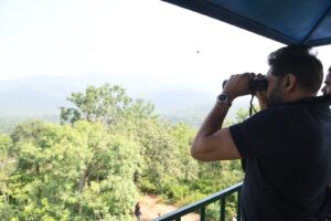 pavan.webp