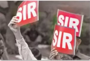 sir1.webp
