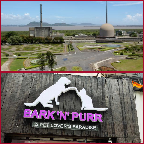 Another big bark in our Anakapalle!