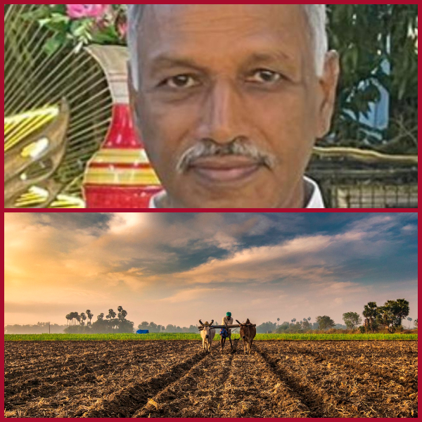 Government should focus on agro-based industries