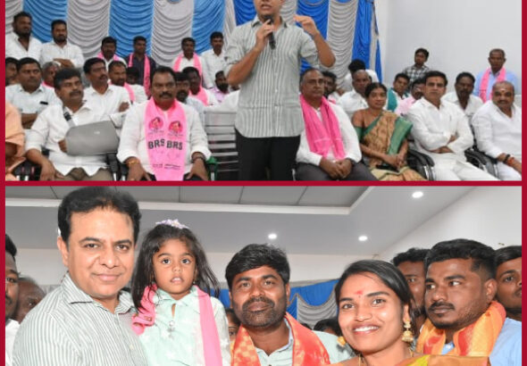 We will not tolerate harassment of serpents