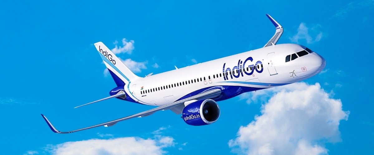 indigo1