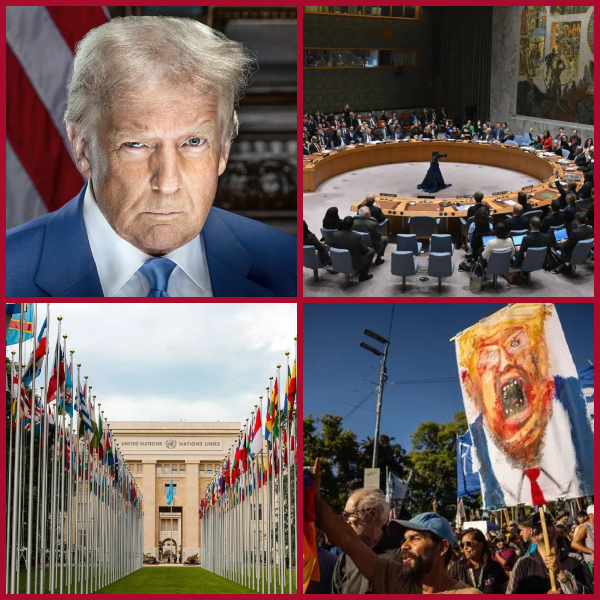 The group watching the attack - the sovereignty of the countries being sacrificed!