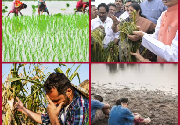 Andhra Pradesh on the edge of agriculture