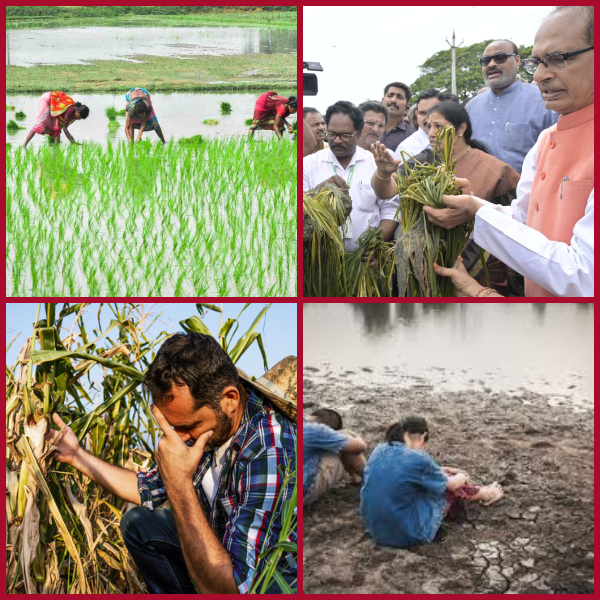 Andhra Pradesh on the edge of agriculture