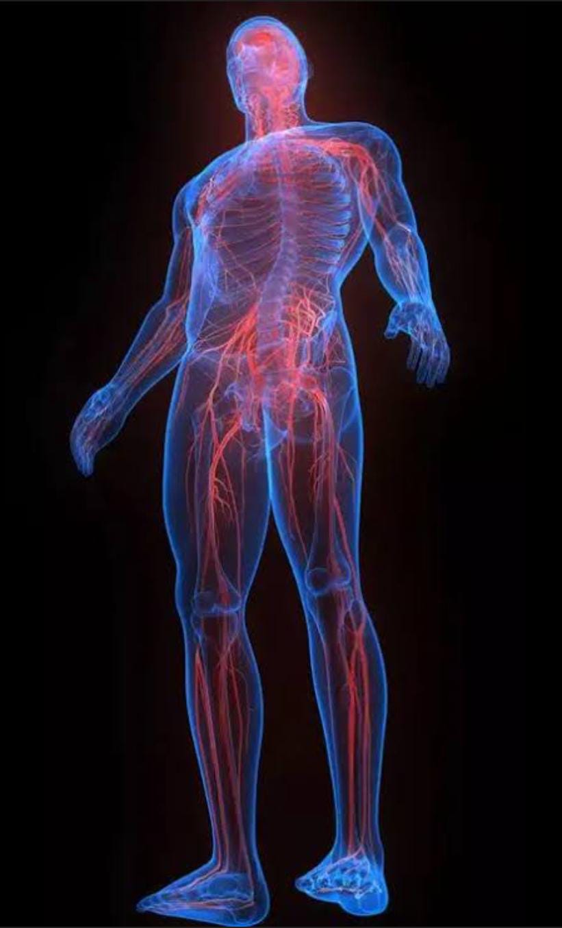 WhatsApp Image 2026-03-02 at 09.45.14 (1)