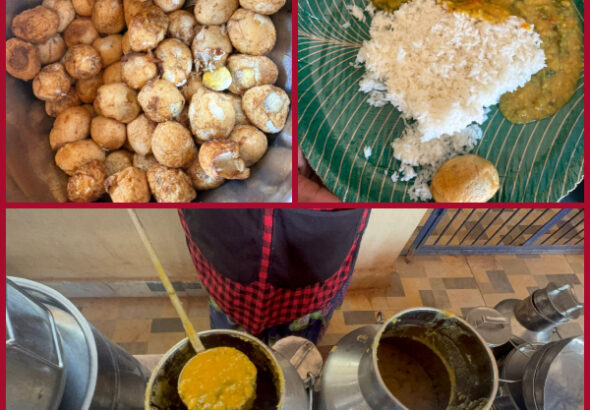 What kind of food is this_..do you feed these to children_