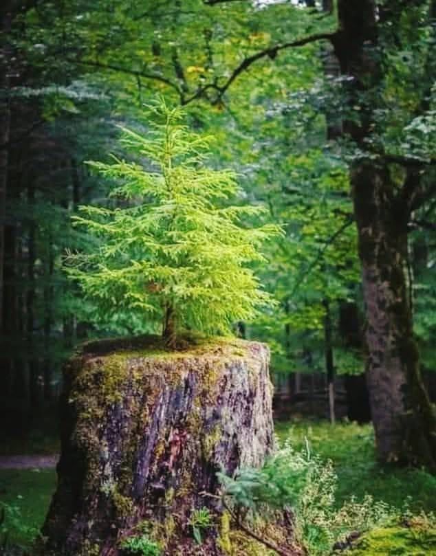 WhatsApp Image 2026-04-07 at 18.36.03